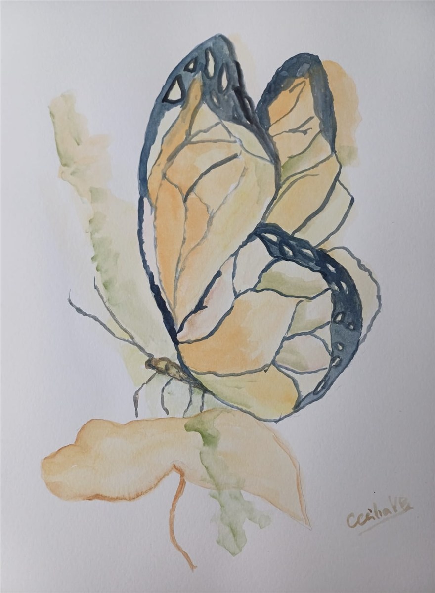 AMBER BUTTERFLY — aguarela sobre papel, 29x42cm, de Cecília Vilas Boas