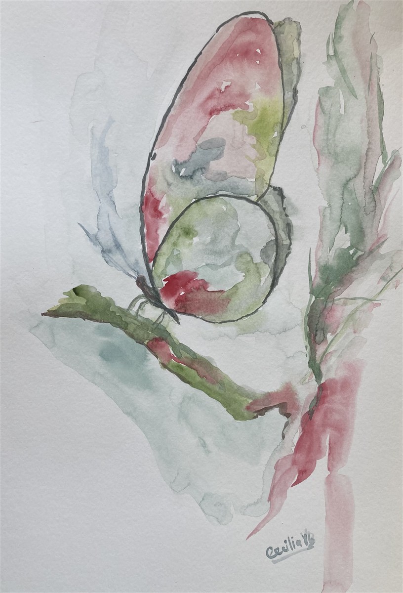 BORBOLETA ROSADA — aguarela sobre papel, 29x42cm, de Cecília Vilas Boas