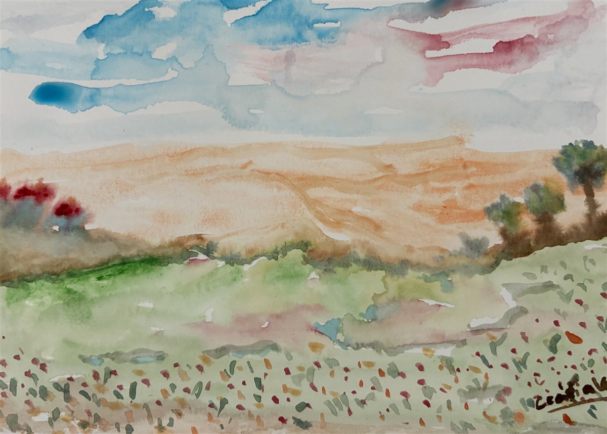 CAMPO FLORIDO — aguarela sobre papel, 15x21cm, de Cecília Vilas Boas