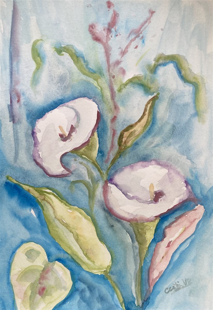 JARROS — aguarela sobre papel, 29x42cm, de Cecília Vilas Boas