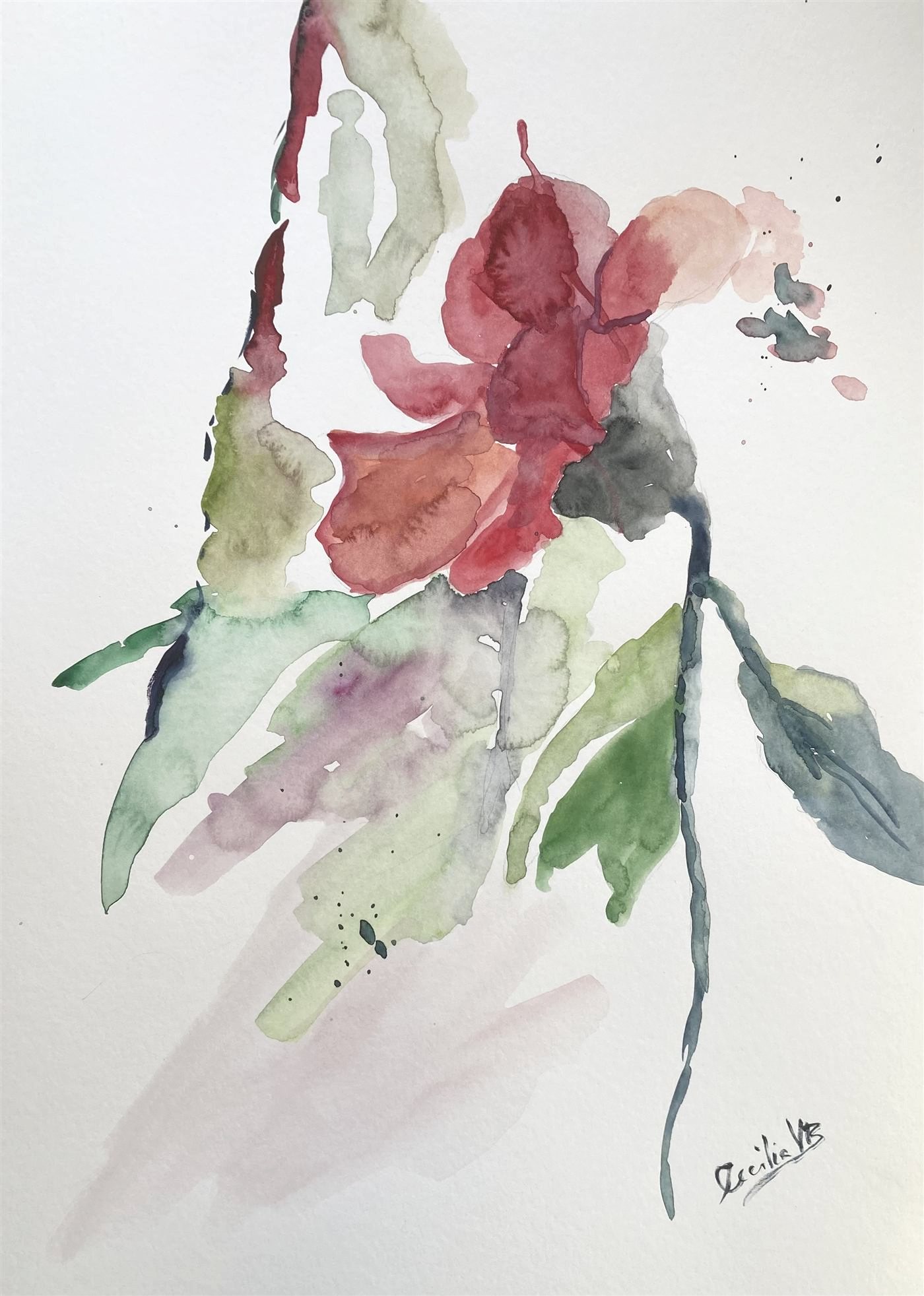 CRIMSON DROP — aguarela sobre papel, 29x42cm, de Cecília Vilas Boas