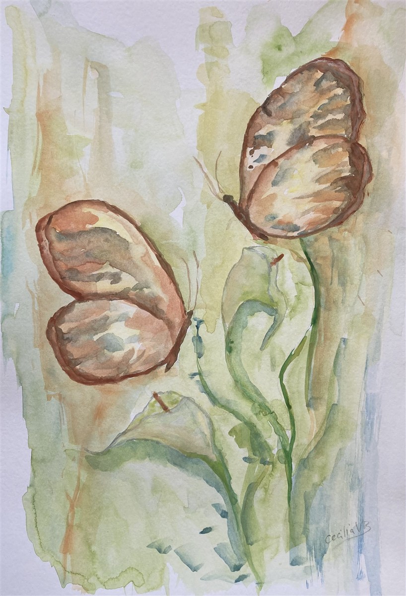 DUAS BORBOLETAS — aguarela sobre papel, 29x42cm, de Cecília Vilas Boas
