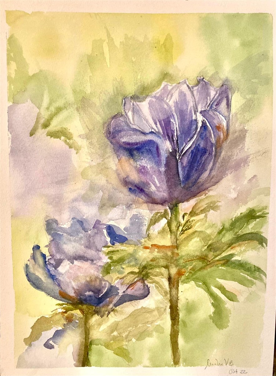 TWO TULIPS — aguarela sobre papel, 29x42cm, de Cecília Vilas Boas