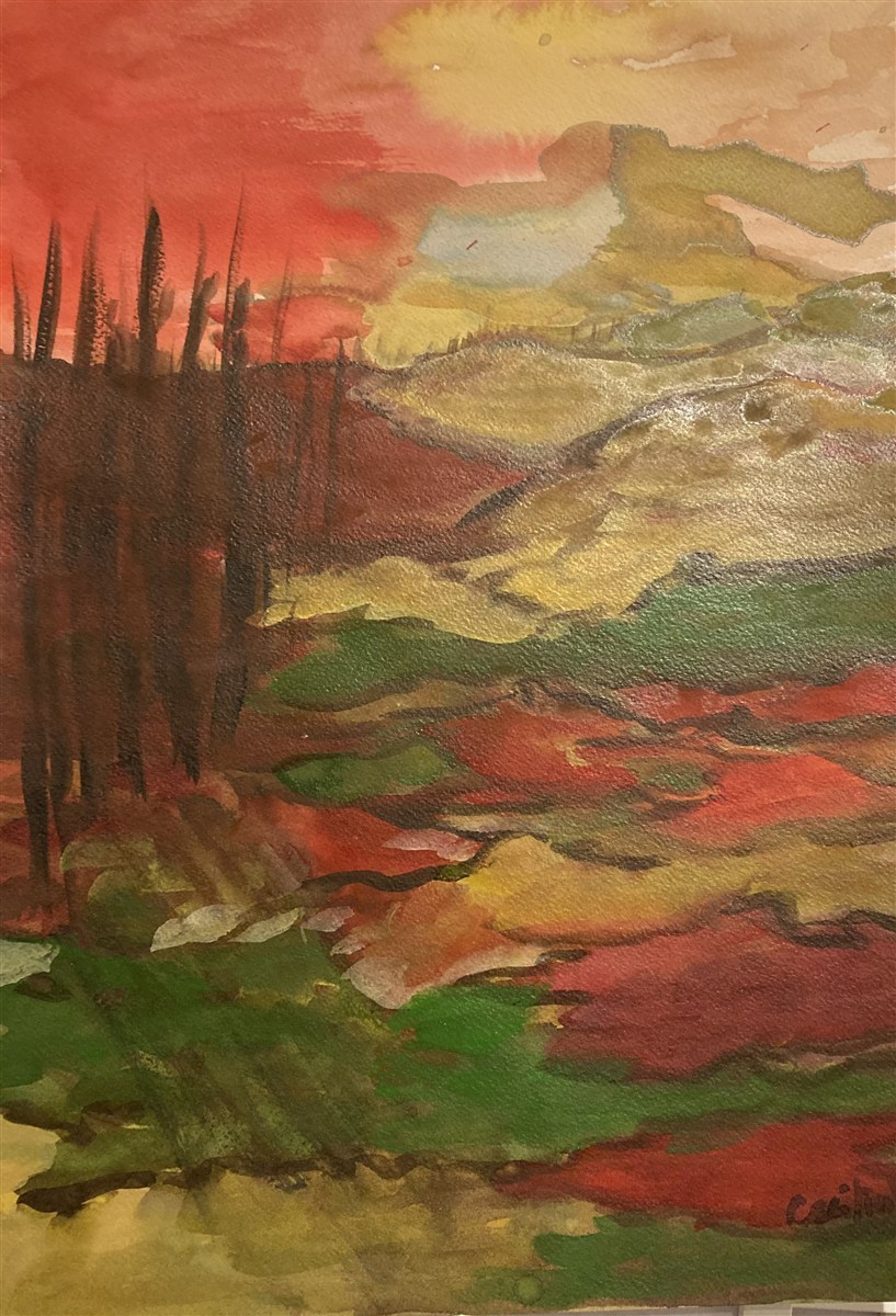ENTARDECER SELVAGEM — aguarela sobre papel, 50x70cm, de Cecília Vilas Boas