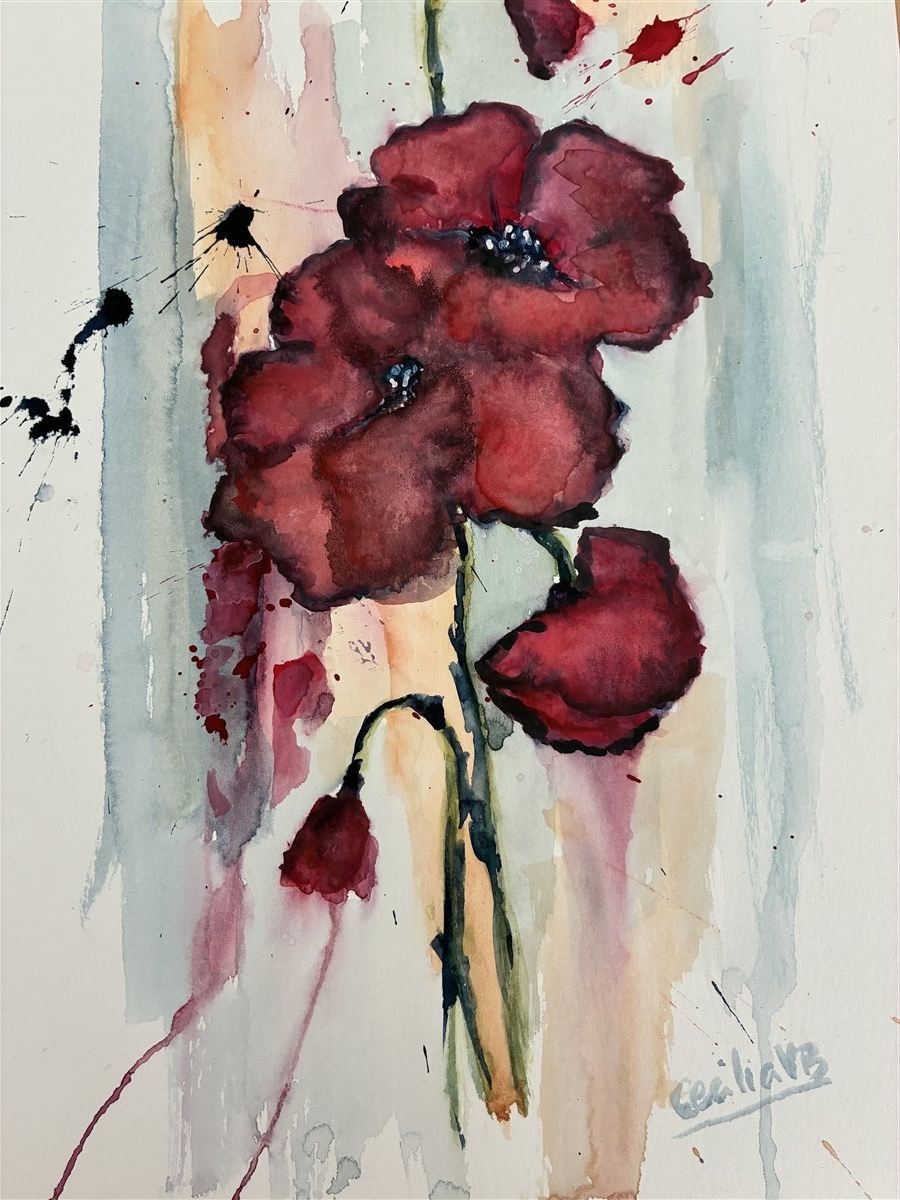 EXPLOSÃO DE PAPOILAS — aguarela sobre papel, 21x29cm, de Cecília Vilas Boas