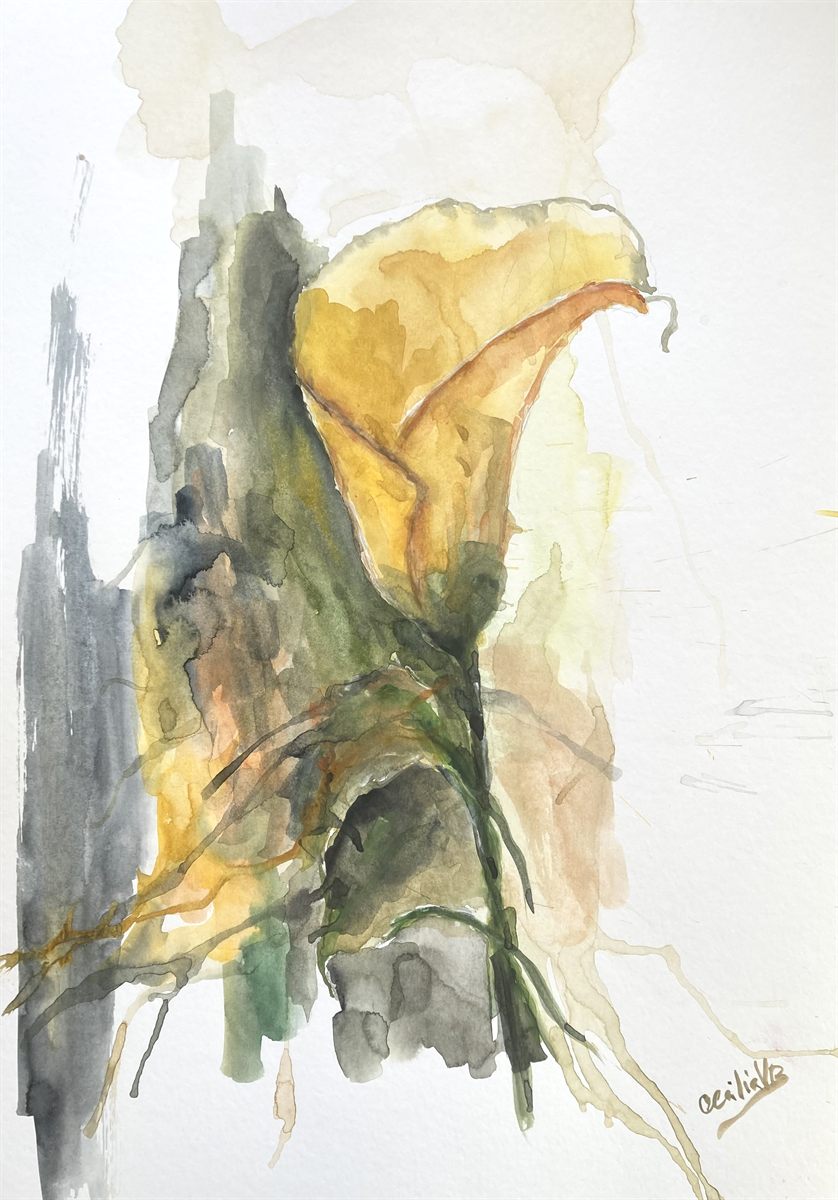 GOLDEN LILY — aguarela sobre papel, 29x42cm, de Cecília Vilas Boas