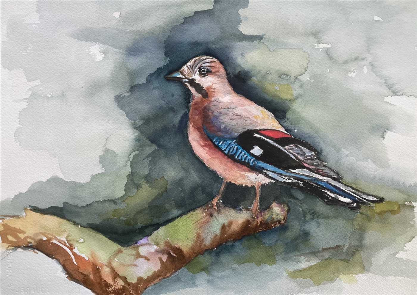 JAY'S PERCH — aguarela sobre papel, 42x29cm, de Cecília Vilas Boas