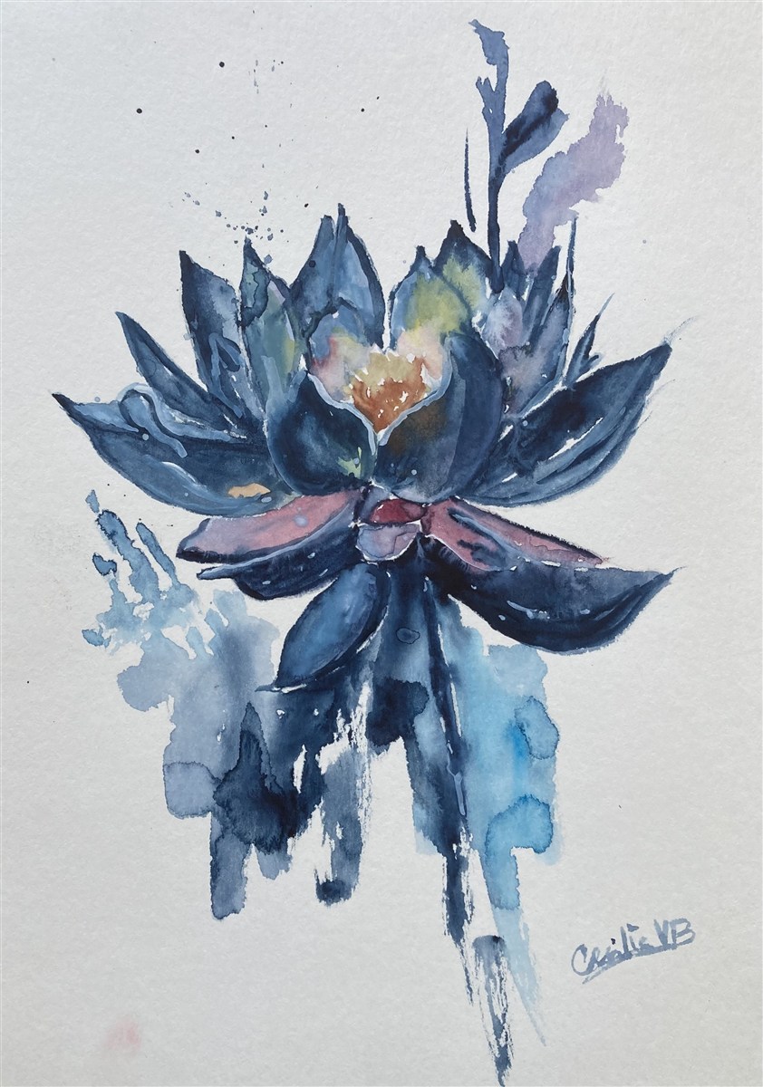 LÓTUS AZUL — aguarela sobre papel, 21x29cm, de Cecília Vilas Boas