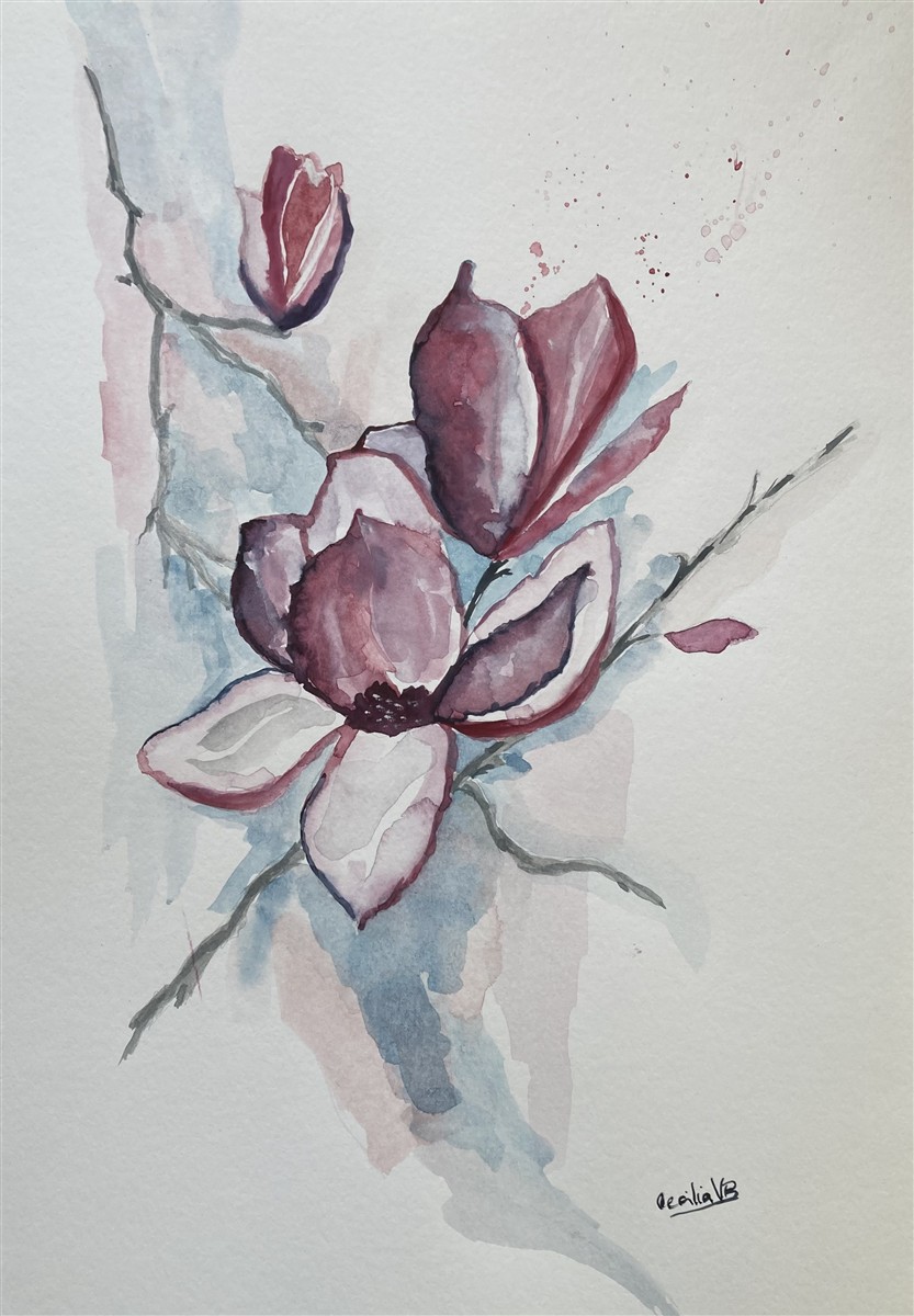 MAGNÓLIA ROSA — aguarela sobre papel, 29x42cm, de Cecília Vilas Boas