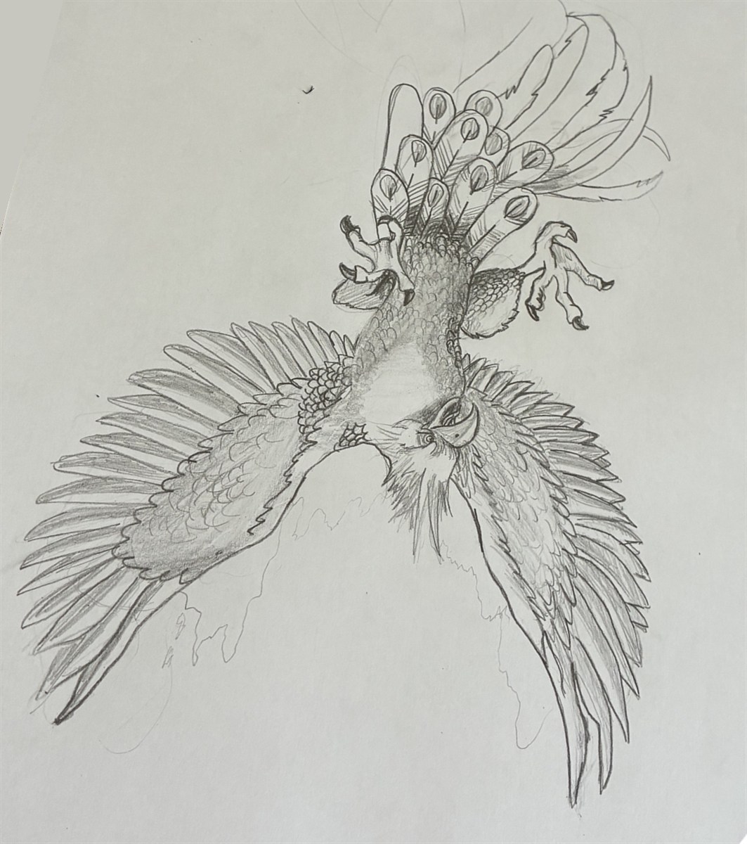 Desenho a grafite de uma fénix de asas abertas, referência para a aula de animais mitológicos