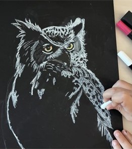 Desenho a giz de uma coruja sobre fundo preto