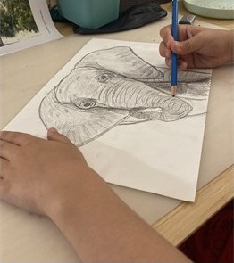 Desenho a carvão de um elefante, feito num workshop