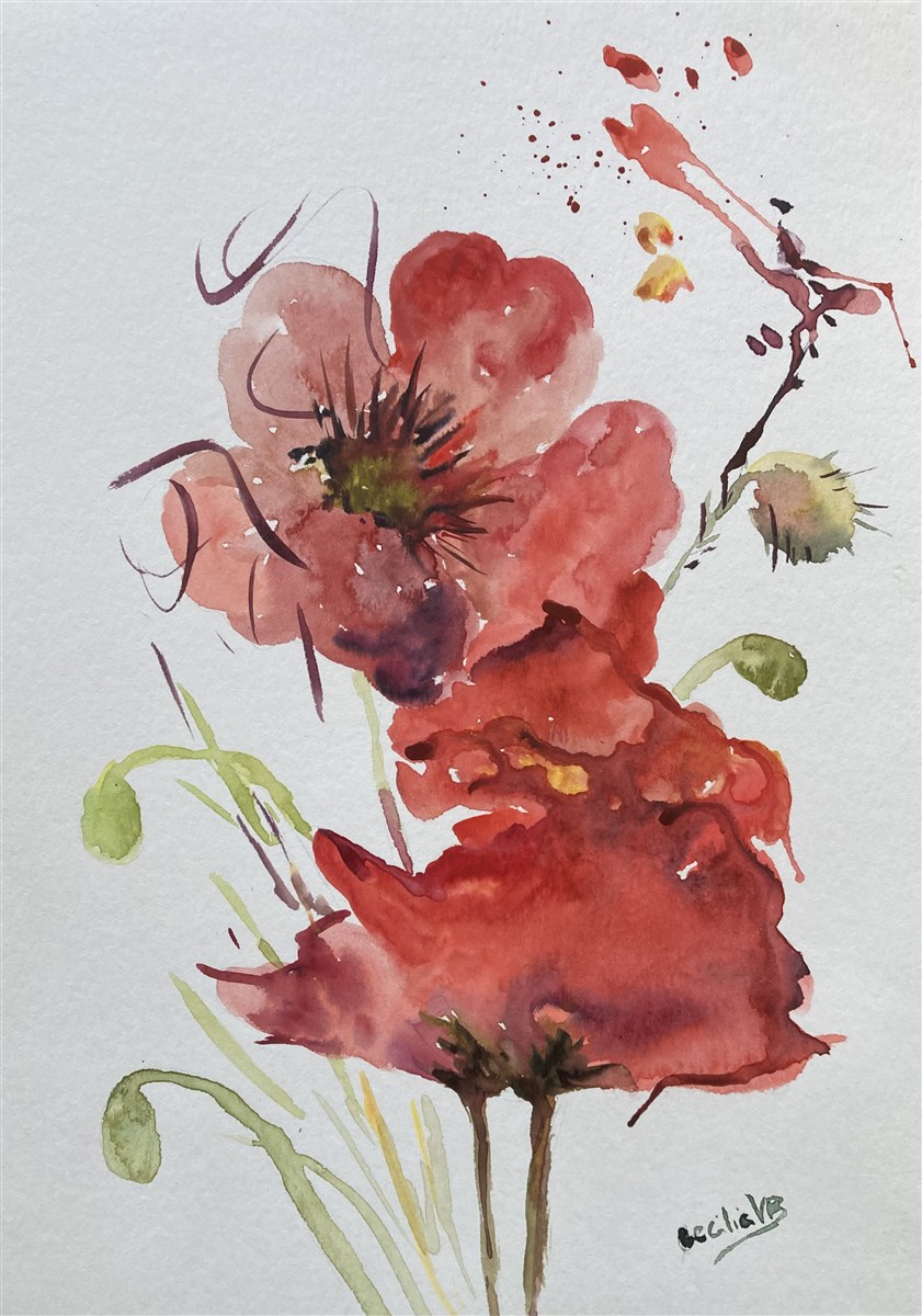 POPPY — aguarela sobre papel, 21x29cm, de Cecília Vilas Boas