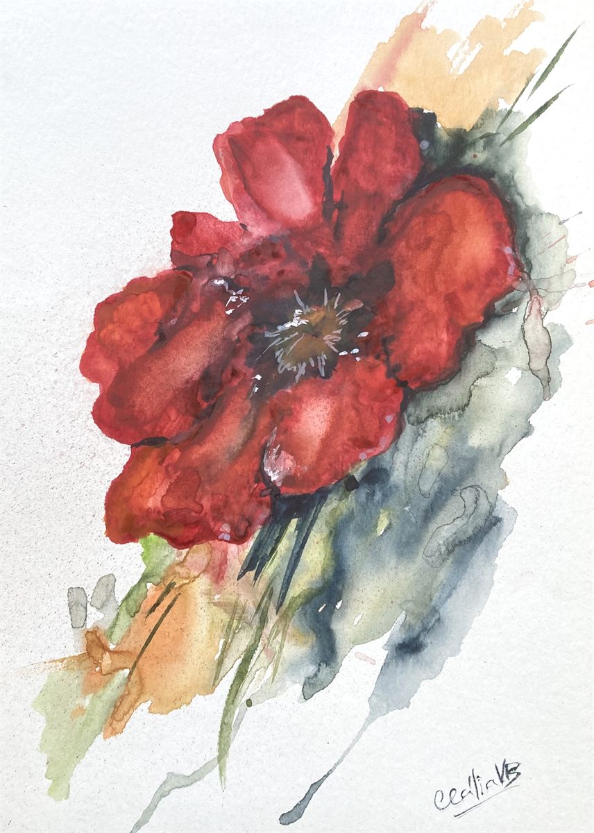 SCARLET POPPY — aguarela sobre papel, 21x29cm, de Cecília Vilas Boas