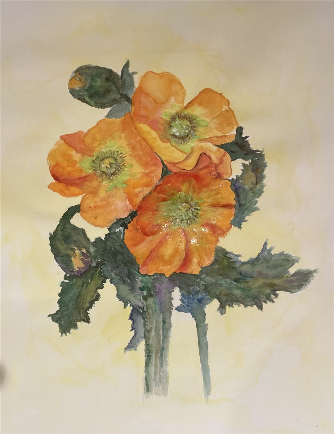 SUNLIT POPPIES — aguarela sobre papel, 65x50cm, de Cecília Vilas Boas