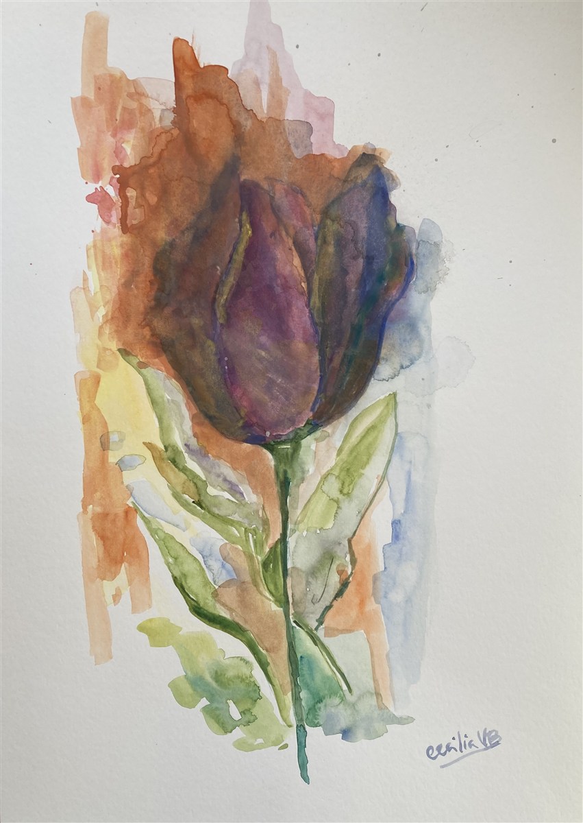 PURPLE TULIP — aguarela sobre papel, 29x42cm, de Cecília Vilas Boas