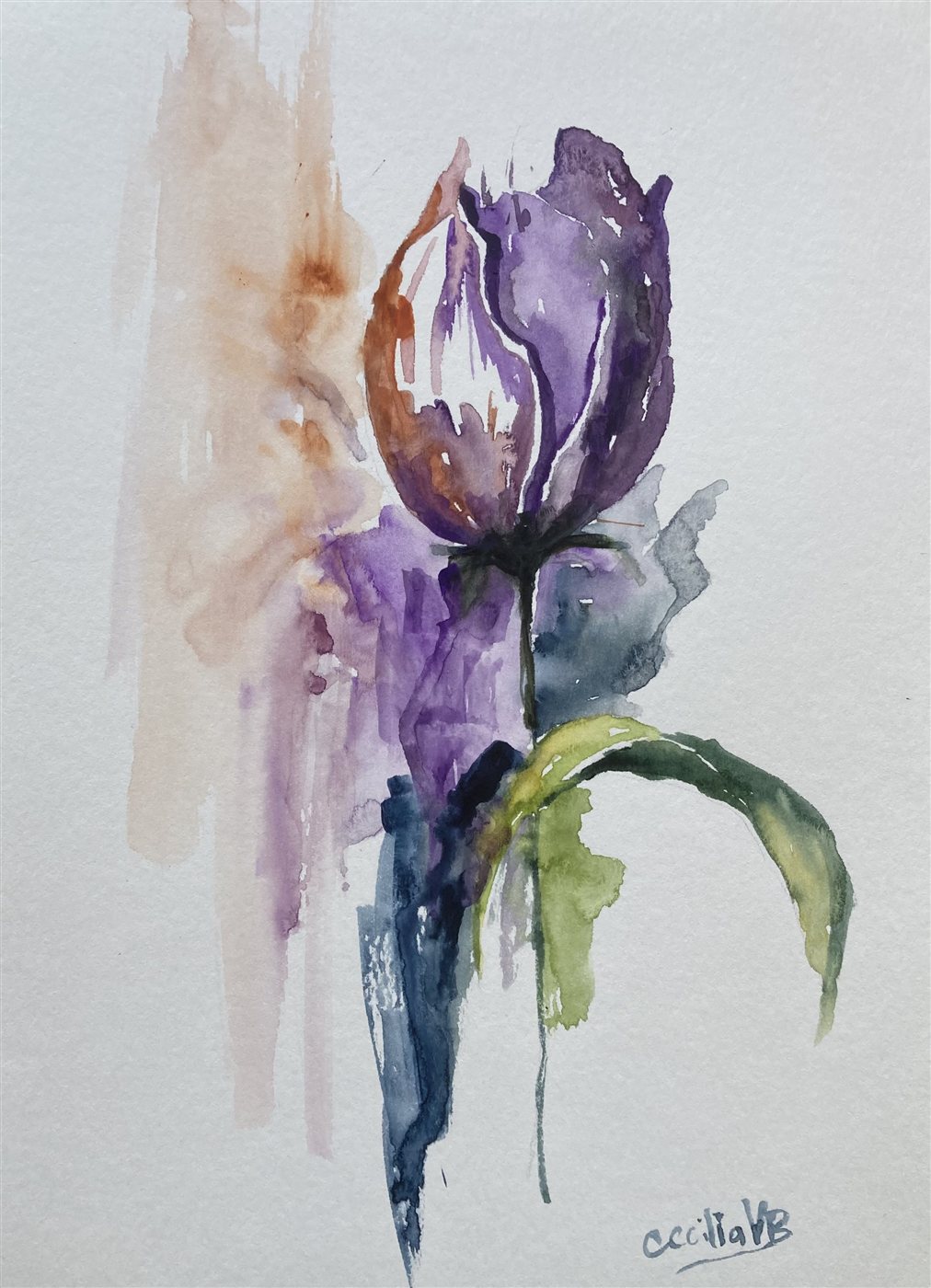 VIOLET TULIP — aguarela sobre papel, 21x29cm, de Cecília Vilas Boas