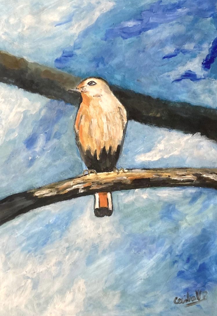 WINTER ROBIN — pintura em óleo sobre papel, 42x60cm, de Cecília Vilas Boas